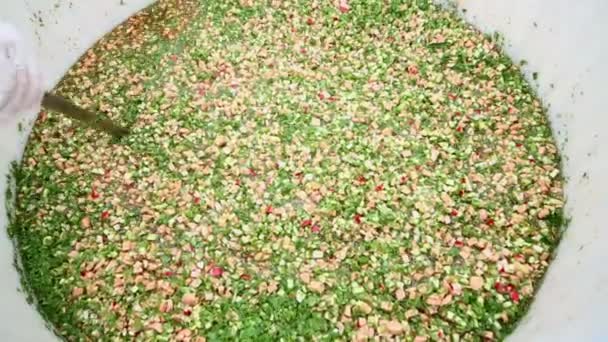 Die Hände mit den Schöpfkellen mischen okroshka im Wasserbecken — Stockvideo