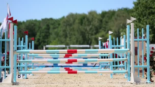 Jeździec na koń skacze — Wideo stockowe