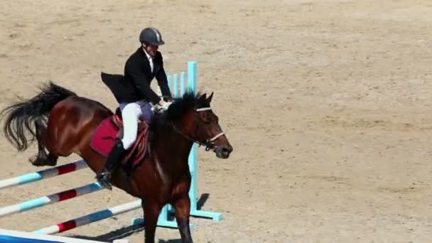 Jinete a caballo salta sobre barreras — Vídeos de Stock