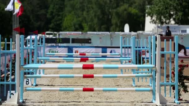 Cavaliere a cavallo salta oltre le barriere — Video Stock