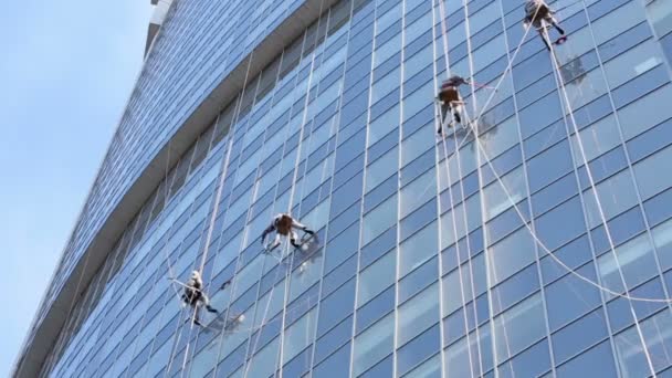 Cuatro trabajadores lavan ventanas de rascacielos — Vídeos de Stock