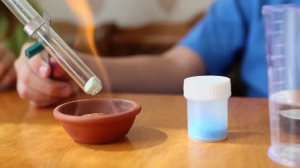 Young boy holds chemical tube — Stock Video