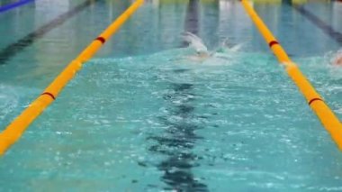 Sporcular Yüzme gezinme tarzı