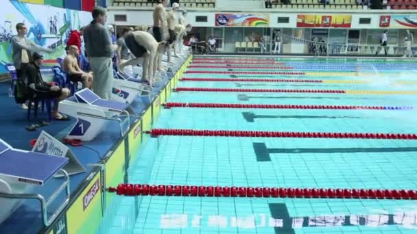 Sporters springen in het water in het zwembad — Stockvideo