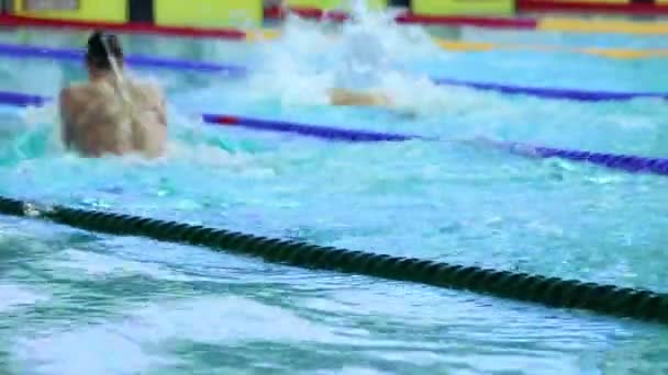 Sporters zwemmen in schoolslag bij zwembad — Stockvideo