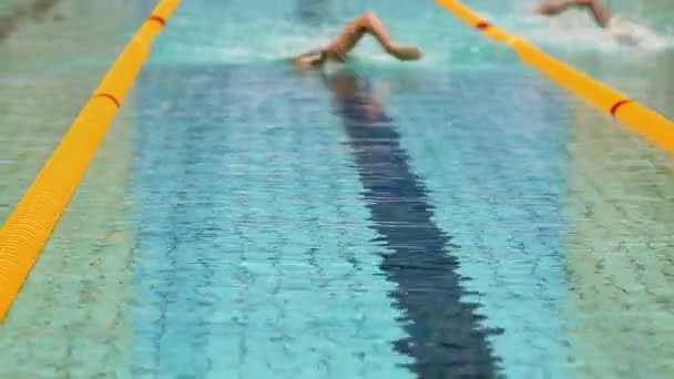 Deportistas nadan en estilo crawl — Vídeos de Stock