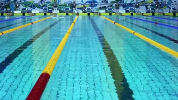 Sportswomen start swim in butterfly style — Stock Video