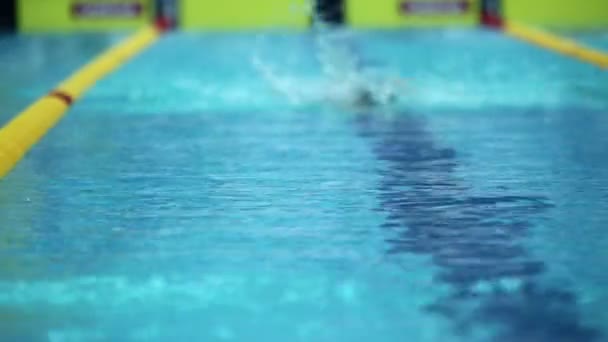 Αθλητικός τύπος κολυμπά σε στυλ ανίχνευσης — Αρχείο Βίντεο