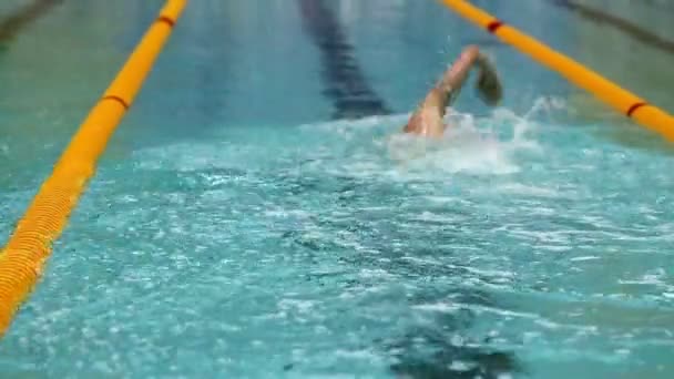 Sportsmen swim in crawl style — Stock Video