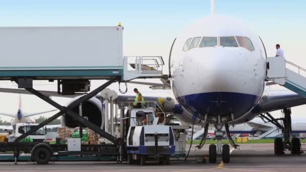 People work at baggage loading — Stock Video