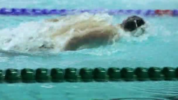 Sportman zwemt in vlinder stijl — Stockvideo