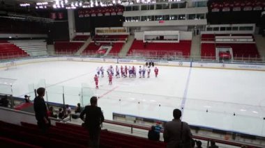 Elimi sıktı hokey takım yapmak