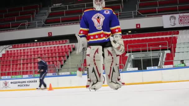 Hockey goalkeeper skates — Stock Video