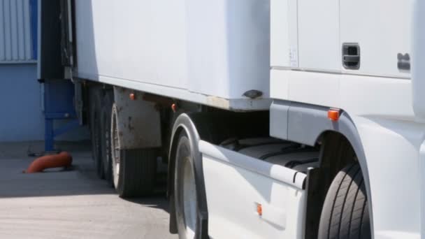 Veículo longo caminhão chegou ao armazém — Vídeo de Stock