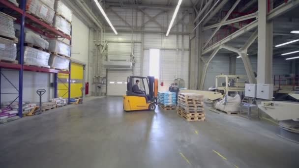 Loader transfers goods from conveyor — Stock Video