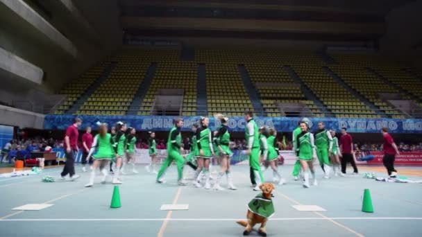 Performance des pom-pom girls Dream Team — Video