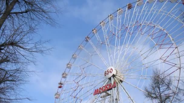 Big ferry wheel — Stock Video