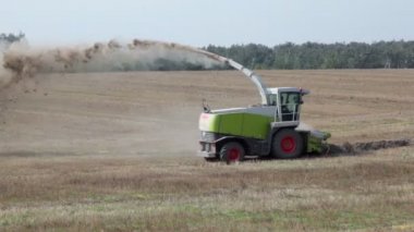 Hasat binmek ve tohumları ekmek