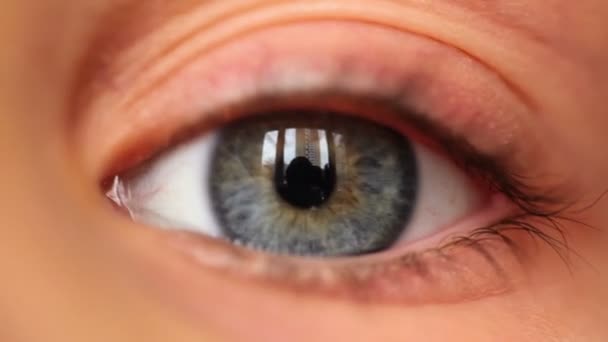 Linkes blaues Auge mit Reflexion — Stockvideo