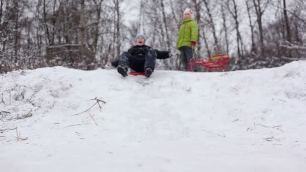Menino desliza em trenó por encosta de neve — Vídeo de Stock