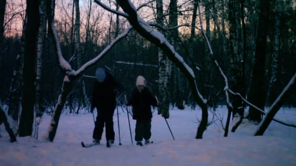 Junge und kleines Mädchen beim Skifahren — Stockvideo