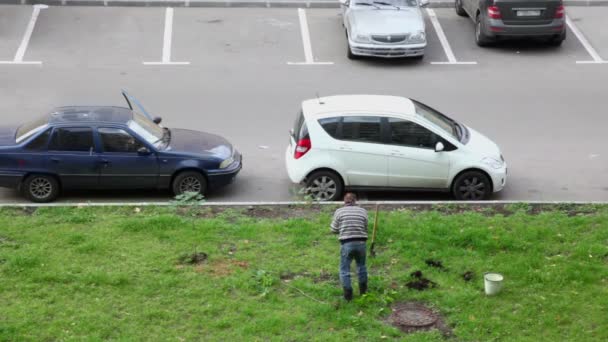 Man plants tree near parking — Stock Video