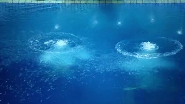 Duas mulheres mergulham na água — Vídeo de Stock