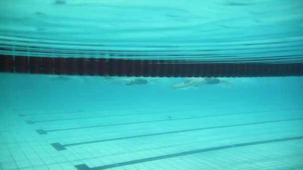 Deportivas durante la carrera de natación — Vídeos de Stock