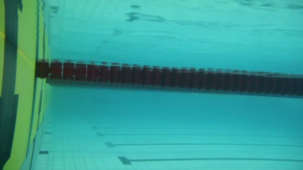 Deportistas durante la carrera de natación en la piscina — Vídeos de Stock