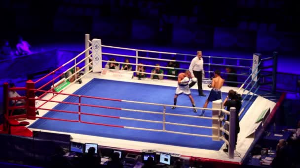 Slåss i boxningsmatch Wsb — Stockvideo