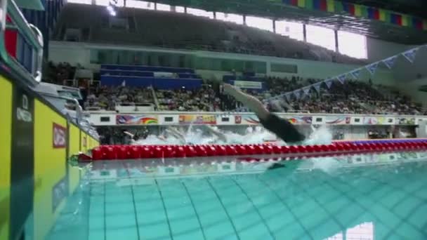 Swimmers jump into water — Stock Video
