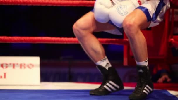 Boxer keert terug naar de ring na pauze — Stockvideo