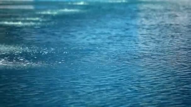 Dois desportistas mergulham na água — Vídeo de Stock