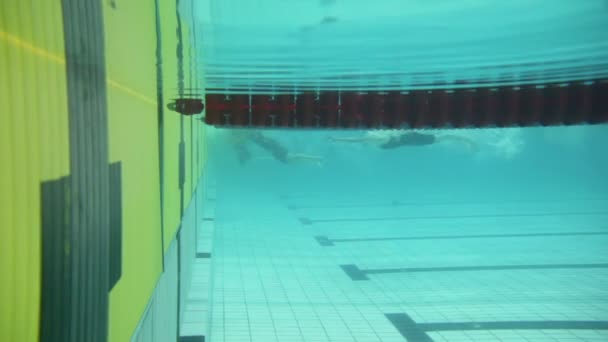 Sportlerinnen berühren Grenze im Ziel — Stockvideo