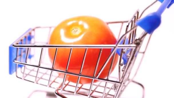 Kırmızı domates taşıma — Stok video