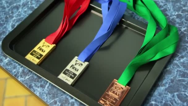Medalhas vencedoras de FINA Mergulho — Vídeo de Stock