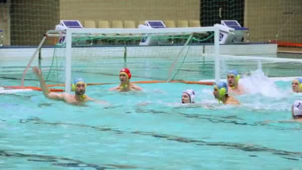 Men play water polo — Stock Video