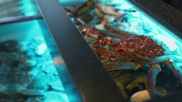 Краб сидит в воде аквариума — стоковое видео