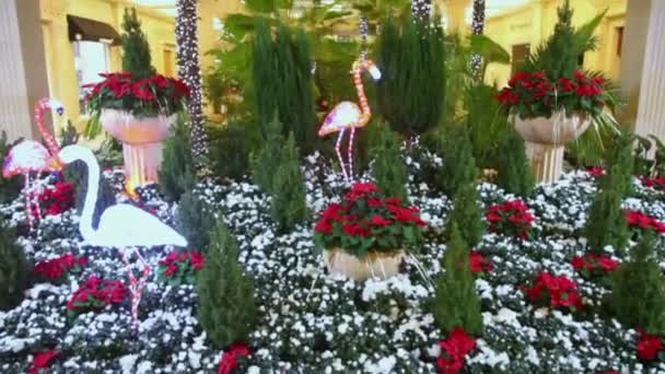 Artificial flamingos and palms with garland — Stock Video