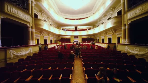 Audience takes place before musical — Stock Video