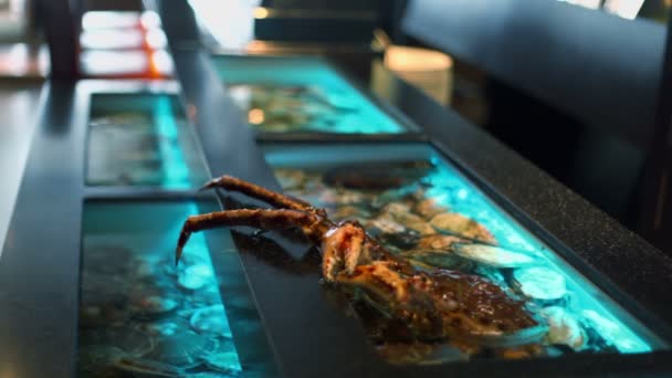 Краб на краю аквариума в ресторане — стоковое видео