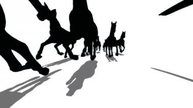 Birçok siluet atların koşu