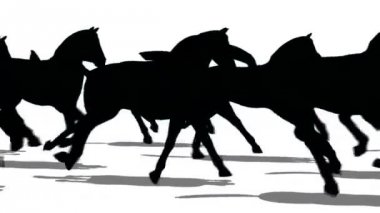 Atların koşu silüeti