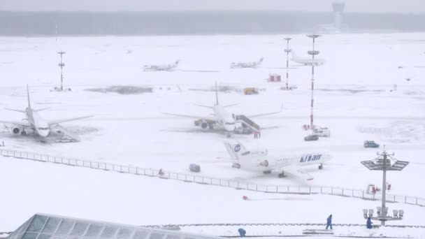 Припаркованные самолеты на снежном аэропорту Внуково — стоковое видео