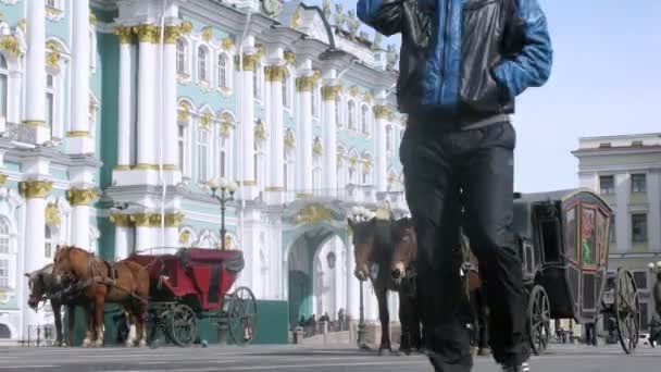 Turisti di fronte al Palazzo d'Inverno — Video Stock