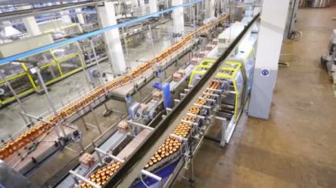 Bira şişesi çizgilerle