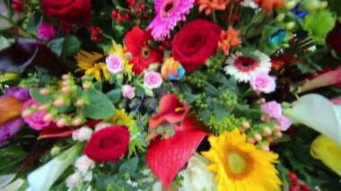 farklı renkli çiçekler