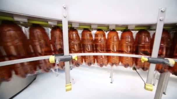 Botellas de plástico marrón moviéndose en el transportador — Vídeos de Stock