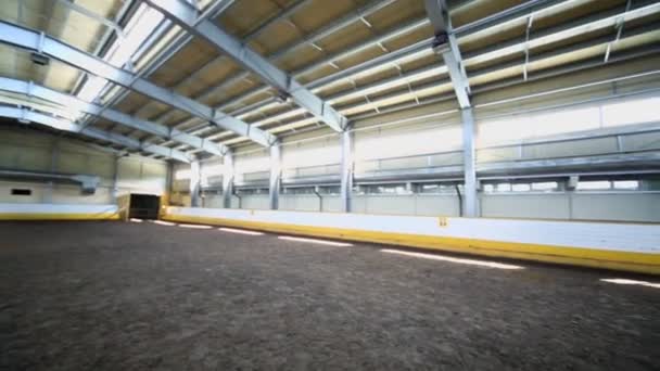 Binnen paard Paardrijden hangar — Stockvideo
