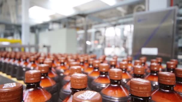 Rows of bottles on conveyer line — Stock Video